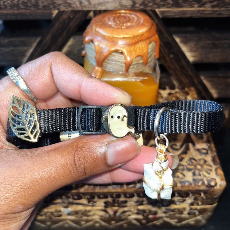 Medium Black & Blue Cat Collars