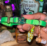 Medium Purple & Green Cat Collars