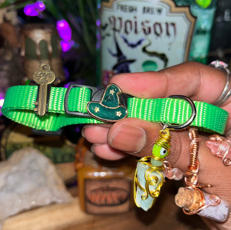 Medium Purple & Green Cat Collars