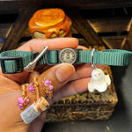 Small Purple & Green Cat Collars