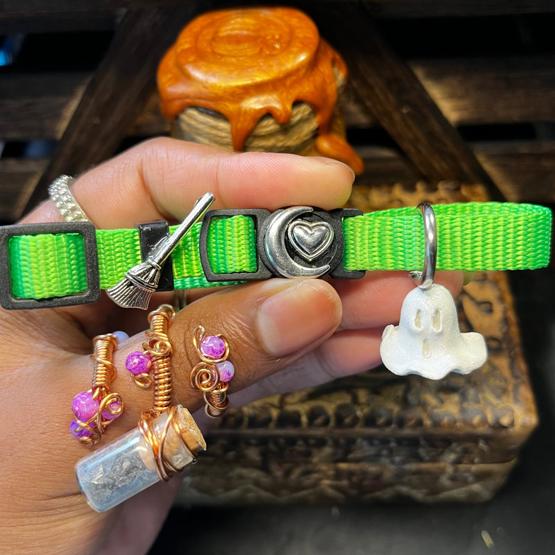Small Purple & Green Cat Collars