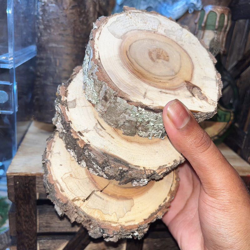 Wooden Cup & Candle Coasters