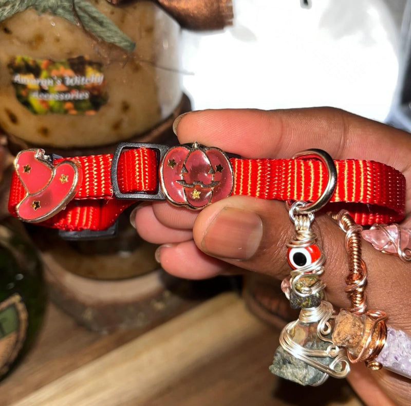 Medium Red & Orange Cat Collars