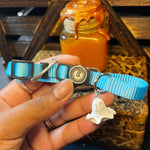 Small Light & Dark Blue Cat Collars