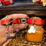 Medium Red & Orange Cat Collars