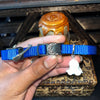 Medium Black & Blue Cat Collars