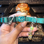 Small Purple & Green Cat Collars