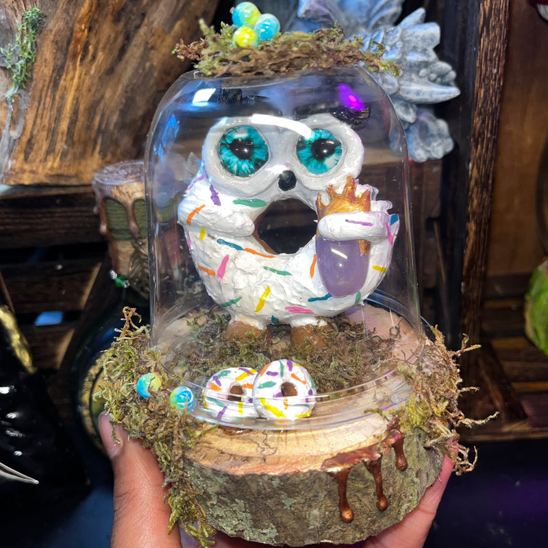 Mystical Munch Donuts