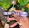 Medium Purple & Green Cat Collars