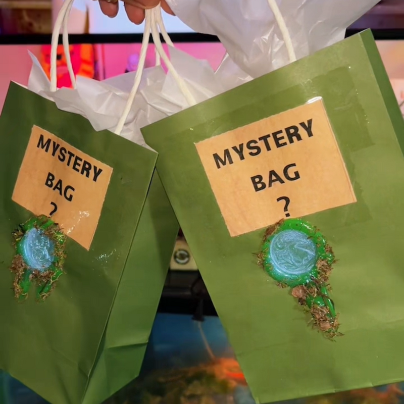 Mystery Bag