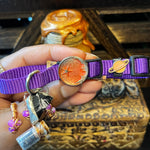 Small Purple & Green Cat Collars