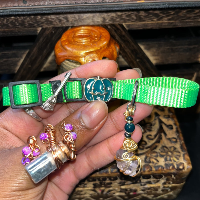 Small Purple & Green Cat Collars