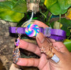 Medium Purple & Green Cat Collars