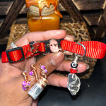 Small Orange & Red Cat Collars