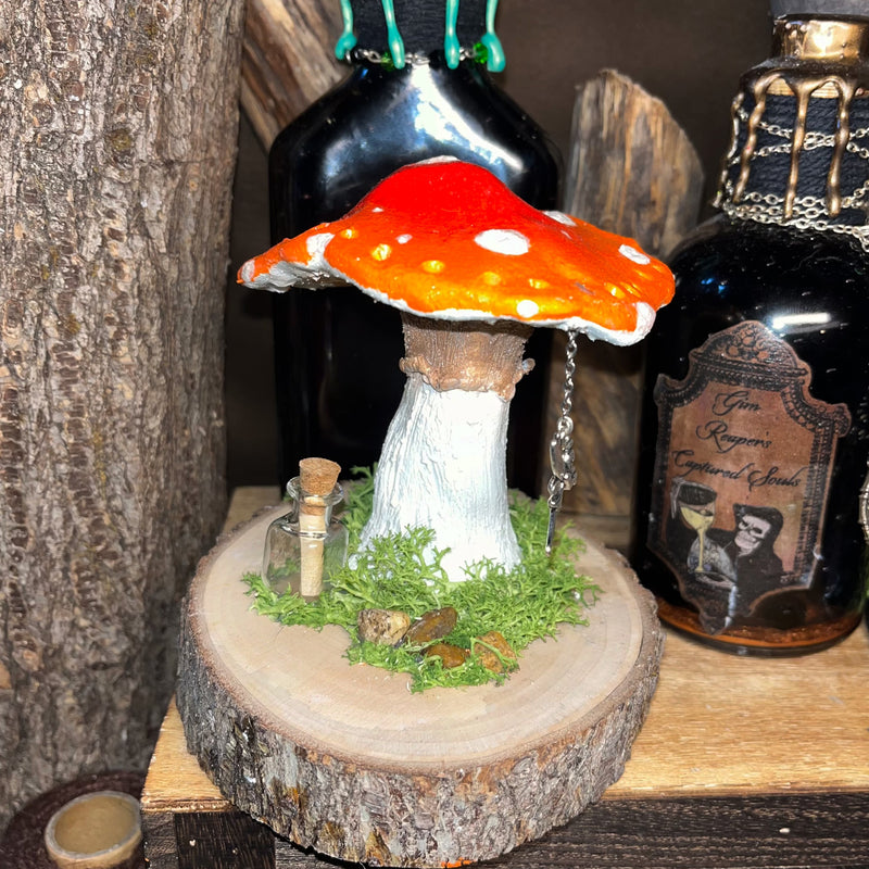 Mushroom Jewelry Holder