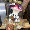 True Love Trippy Mushrooms