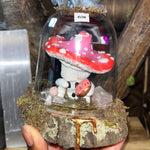 True Love Trippy Mushrooms