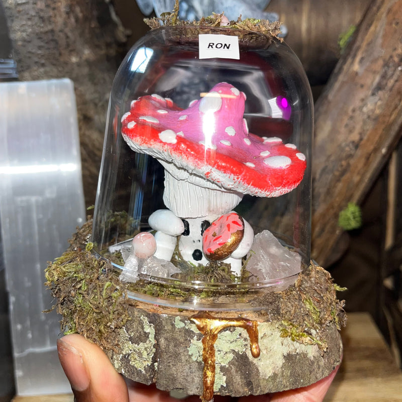 True Love Trippy Mushrooms