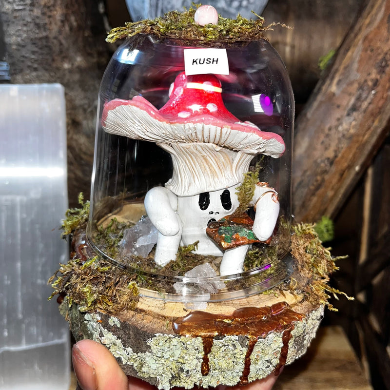 True Love Trippy Mushrooms