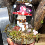 True Love Trippy Mushrooms