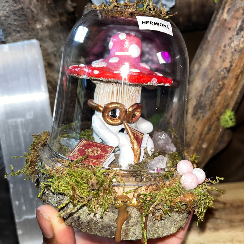 True Love Trippy Mushrooms