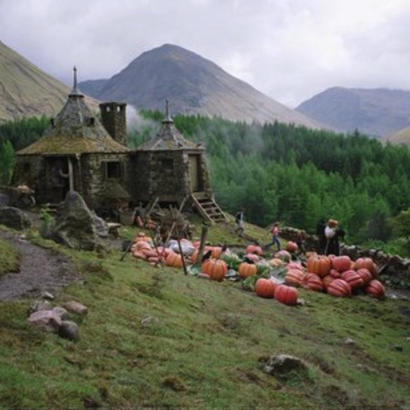 Hagrid’s Hut