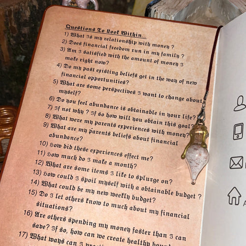 Money Manifesting Interactive Journals